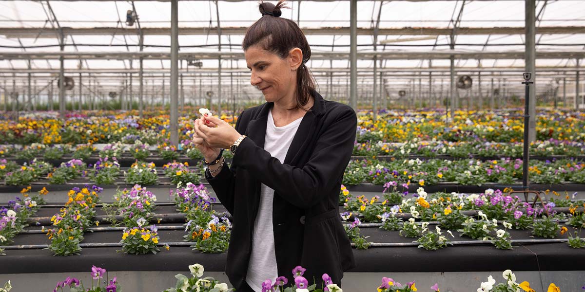 Per San Valentino si regalano fiori… da mangiare